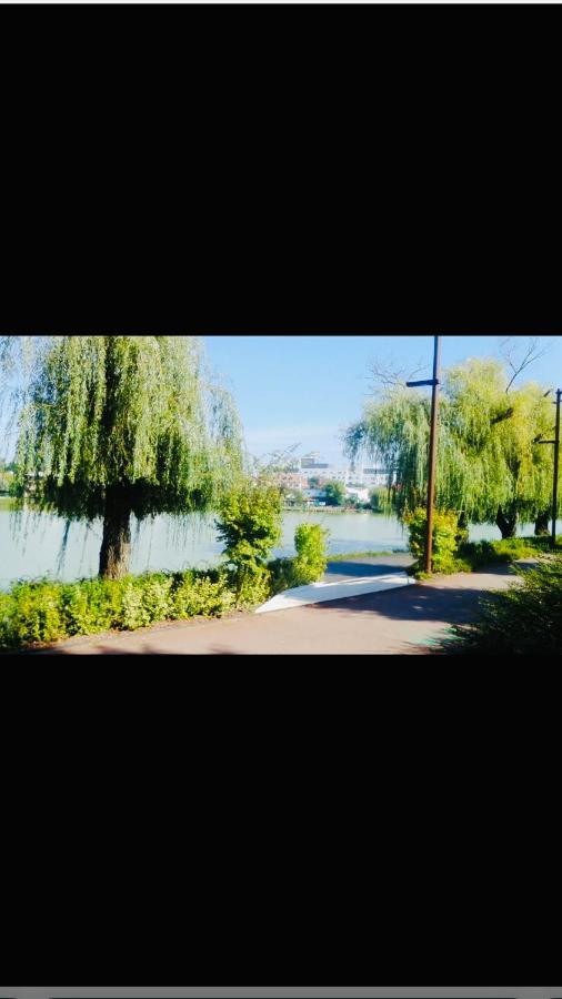 By The Lake Apartment Cluj-Napoca Luaran gambar